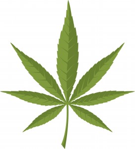 marijuana application